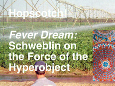 Schweblin on the Force of the Hyperobject